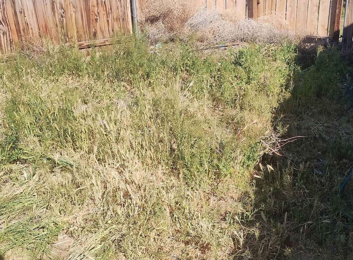 How Does My Garden Grow? Well, I Sort Of Need To Weed It First...