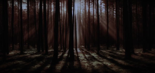 The Hardest Things We Face